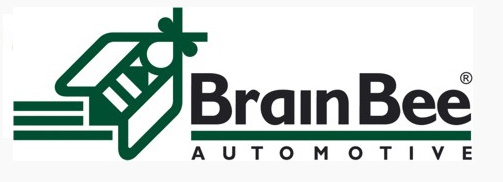 Brain Bee